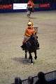 Quadrille - 00078